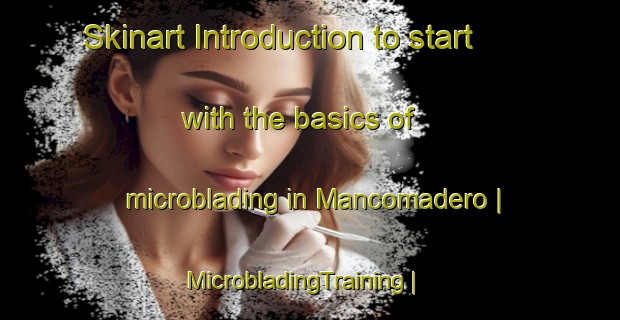 Skinart Introduction to start with the basics of microblading in Mancomadero | MicrobladingTraining | MicrobladingClasses | SkinartTraining-Mexico
